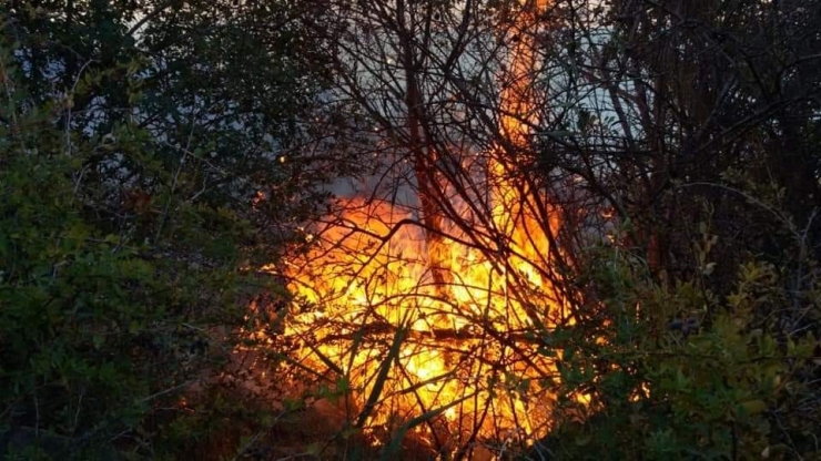 Develi’de Bağ Yangını