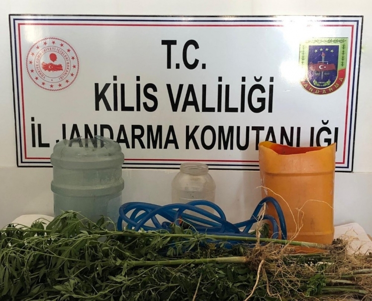 Kilis’te Kenevir Operasyonu