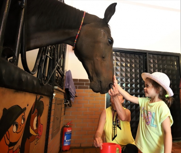 Atlı Eğitim Merkezi İle Hayvan Sevgisi Aşılanıyor