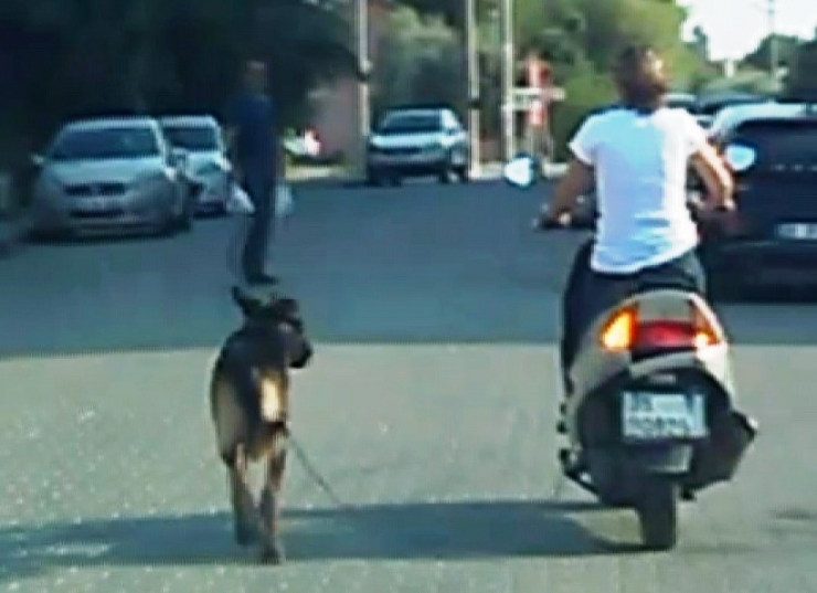 Köpeğini Motosiklete Bağlayan Kadına Tepki