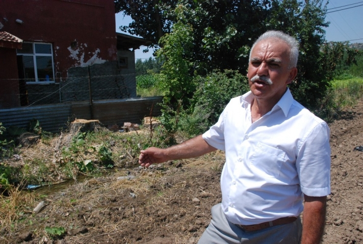 Gurbetçi İle Yeğeni Arasında "Kavak" Anlaşmazlığı