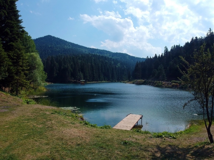 Sinop’ta Saklı Cennet: Akgöl Tabiat Parkı
