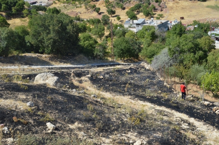Besni’de Anız Yangını Korkuttu
