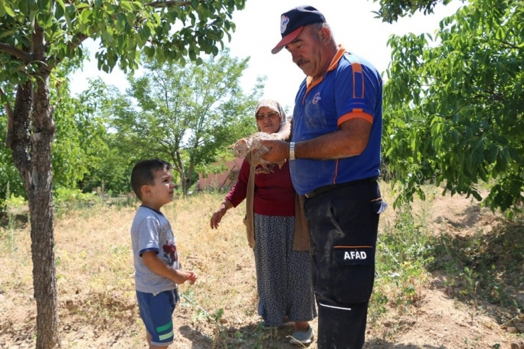 Aksaray’da Kuyuya Düşen Yavru Kedi Kurtarıldı