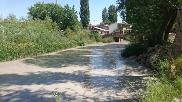 Tohma Çayındaki Kirlilik Ve Balık Ölümleri Korkutuyor