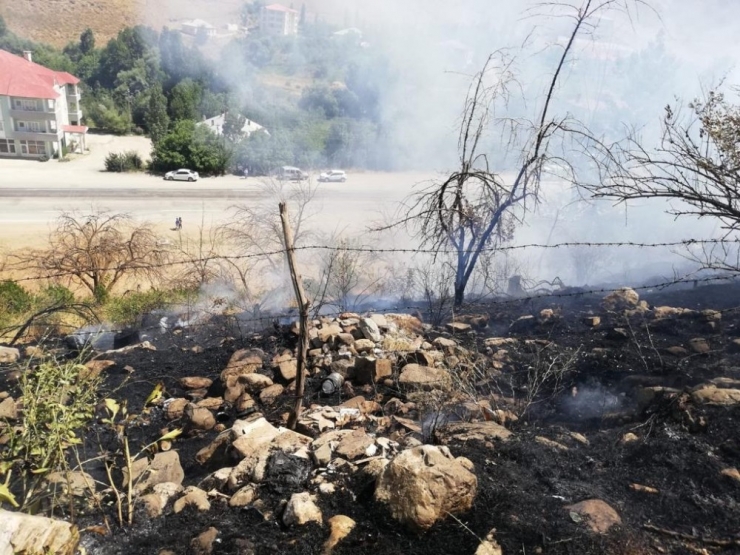 İran Sınırında Korkutan Yangın