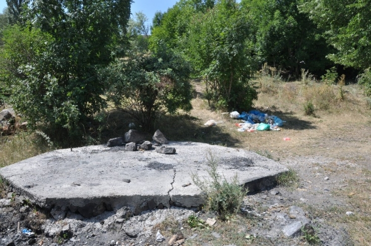 Kars Kent Ormanı Kaderine Terk Edildi