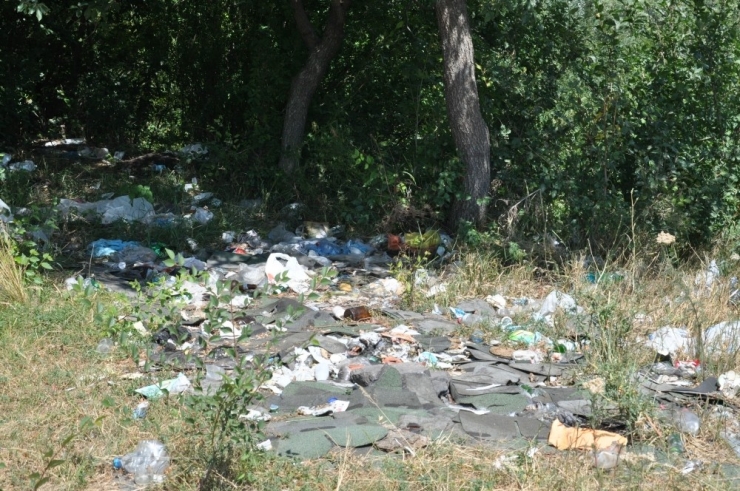Kars Kent Ormanı Kaderine Terk Edildi