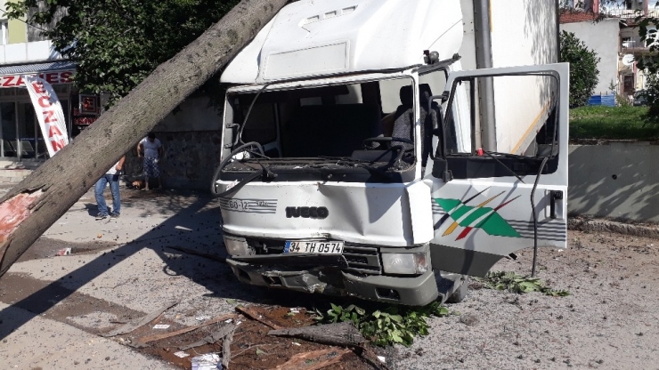 Yasak Olan Yokuşa Giren Kamyonet Freni Patlayınca Ağaçları Yerinden Söktü