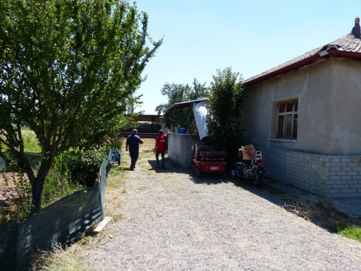 Yılanı Vurmak İsterken Hamile Eşini Öldüren Şahıs Adli Kontrol Şartıyla Serbest