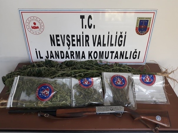 Mısır Tarlasında Uyuşturucu Ele Geçirildi