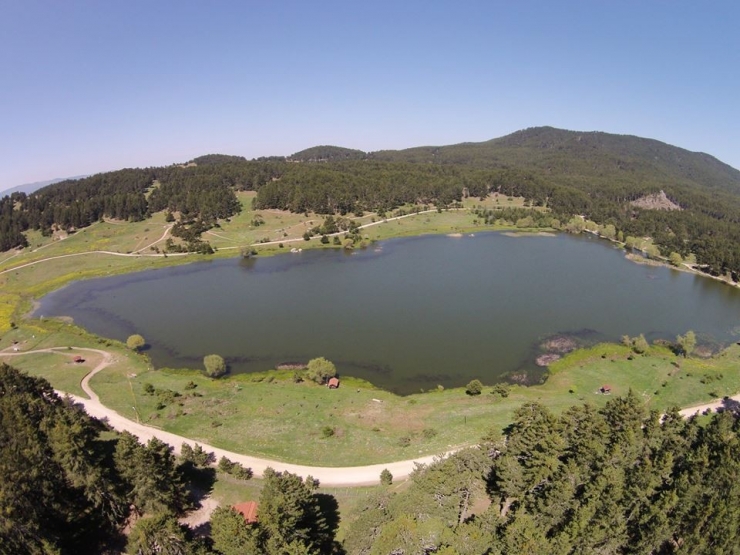 Göçmen Kuşlarının Göç Yolları Değişiyor