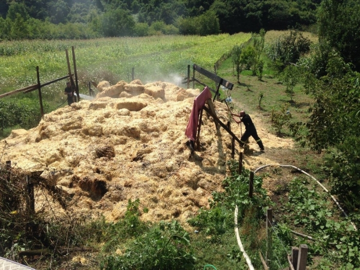 Türkeli’deki Samanlık Yangını Büyümeden Söndürüldü