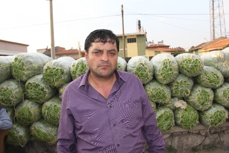 Fasulye Fiyatlarında Düşüş Başladı