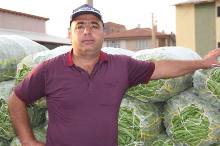 Fasulye Fiyatlarında Düşüş Başladı