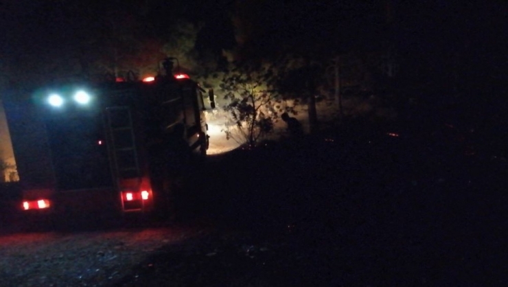 Amasya’da Örtü Yangını: 1 Dönüm Alan Kül Oldu