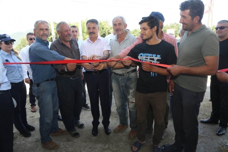 Atakum Canlı Hayvan Pazarı Üreticiyle Birlikte Açıldı