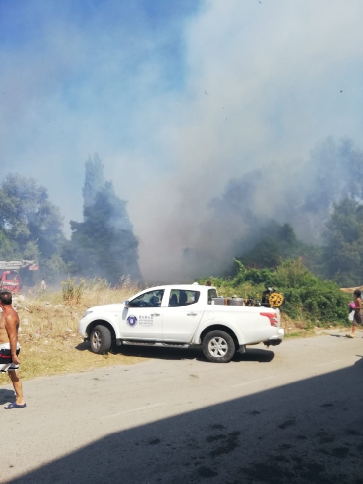 Gemlik’te Tatilcileri Korkutan Yangın
