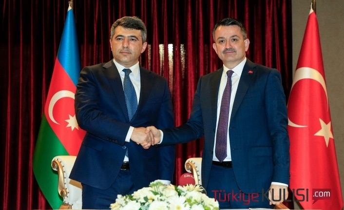 Fındık Hasadı: Türkiye, Azerbaycan Gürcistan Tarım Bakanları Katılıyor