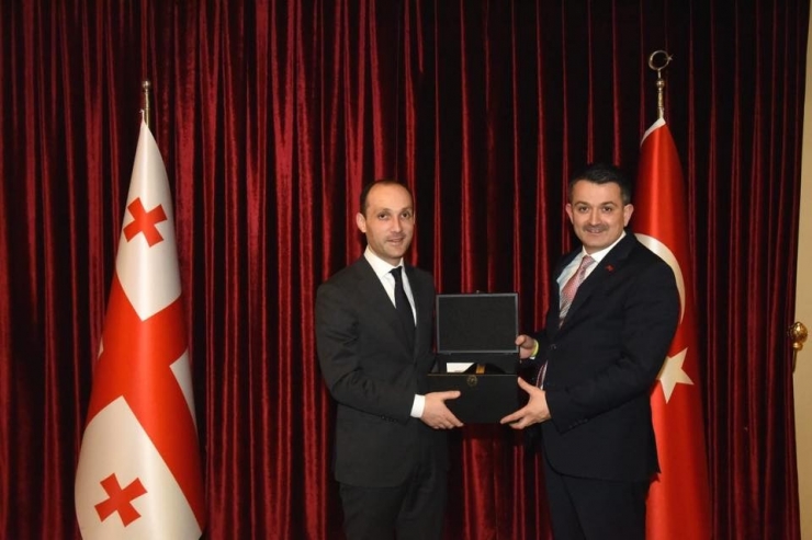 Fındık Hasadı: Türkiye, Azerbaycan Gürcistan Tarım Bakanları Katılıyor