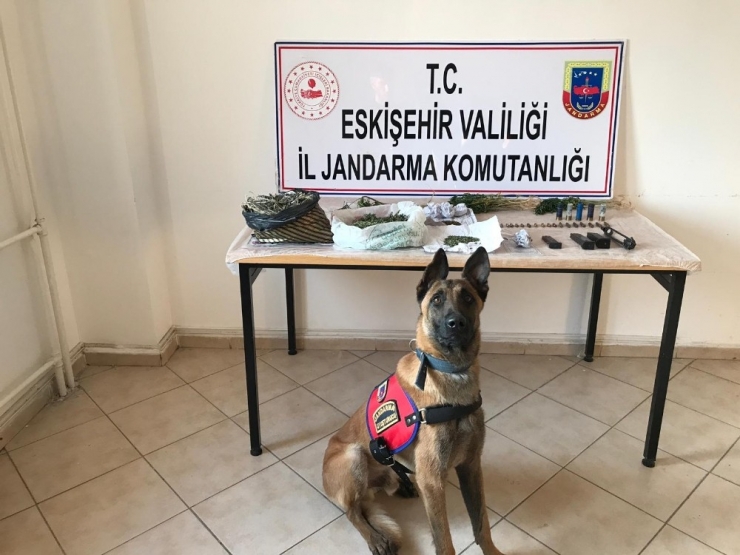 Uyuşturucu Satıcısı Operasyonla Yakalandı