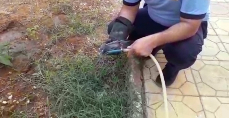 Sıcaktan Bayılan Kuşun İmdadına İtfaiye Yetişti