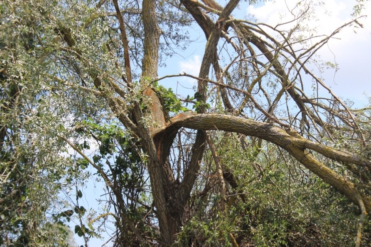Kırklareli’de Dev Hortum Yerle Bir Etti