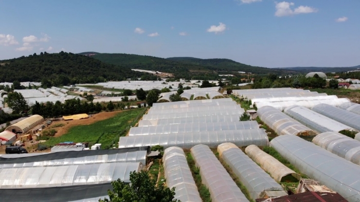 İstanbul’un En Büyük Sera Üretiminin Yapıldığı Köylerden Göçbeyli Havadan Görüntülendi