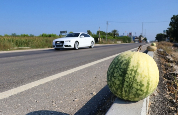 Para Etmeyen Karpuzu Karayolunda Satmaya Çalışıyorlar