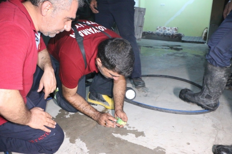 Dumandan Etkilenen Kuşa Suni Tenefüs Ve Kalp Masajı