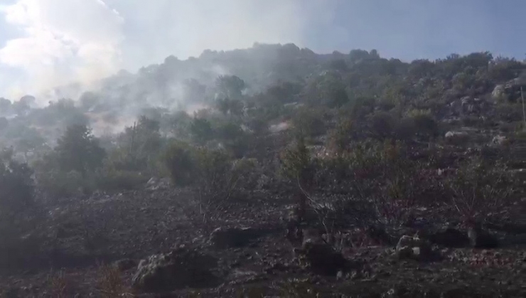 Gölbaşı’nda Ormanlık Alan Yandı