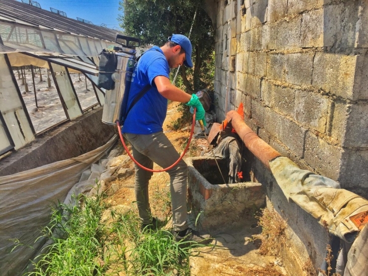 Büyükşehirin Haşere Mücadelesi Sürdürdü