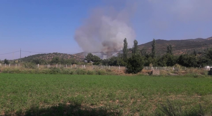 Aydın’da Çifte Yangın