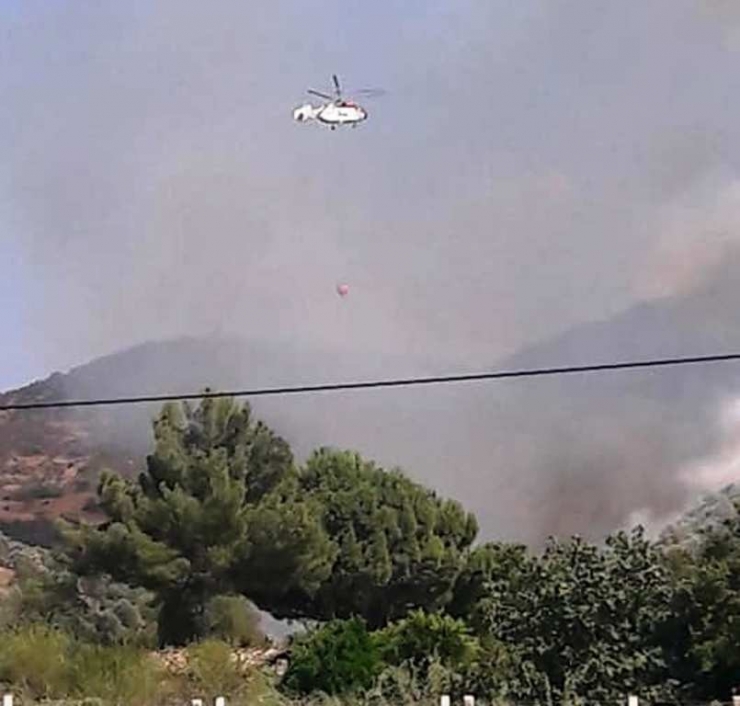 Aydın’da Çifte Yangın