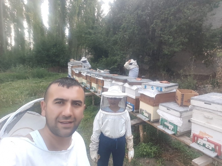 Bal Arıları Petek Üzerinde Ay Yıldız Şekli Oluşturdu