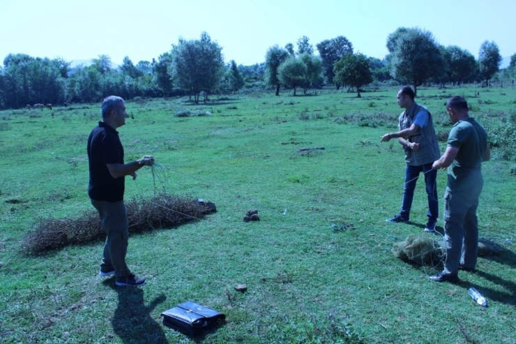 Saka Kuşu Avcılarına 26 Bin 336 Lira Ceza