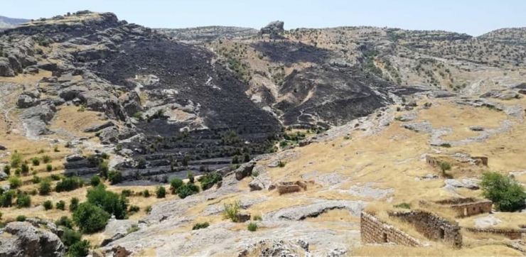 Ağaçlık Alanda Çıkan Yangını Köylüler Söndürdü