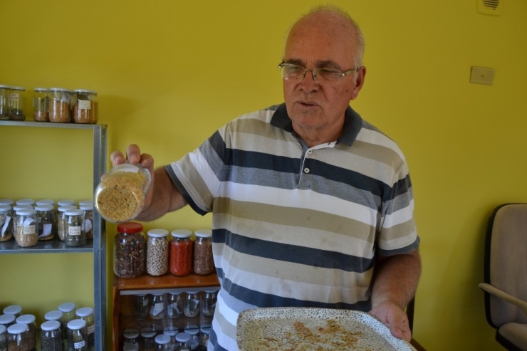 Manisa’dan Türkiye’ye Yerel Tohum