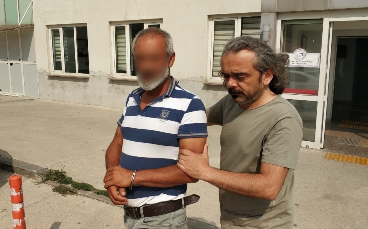 Evinde Bonzai Ele Geçen Şahıs Tutuklandı