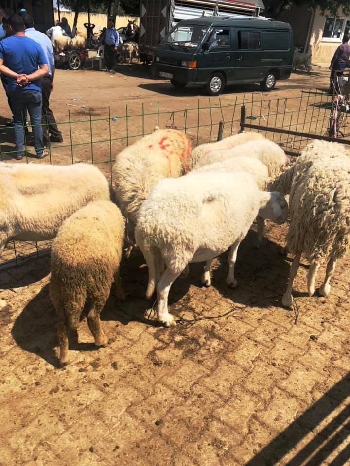 Sarıgöl’de ’Sağlıklı Bayram’ Uyarısı