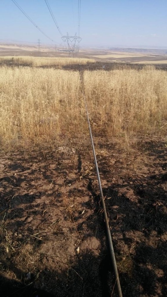 70 Dönüm Ekibi Buğday Tarlası Yandı