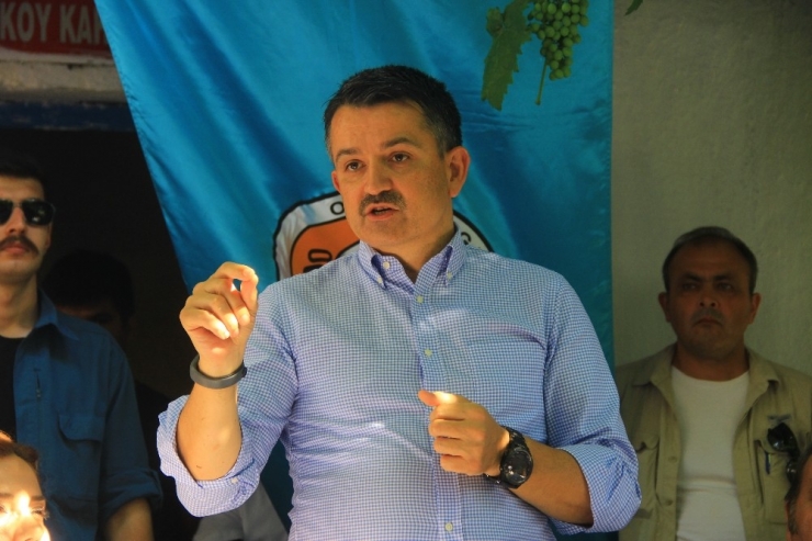 Tarım Ve Orman Bakanı Pakdemirli: “Yangına İlk Müdahaleyi 12 Dakikaya Düşürdük”