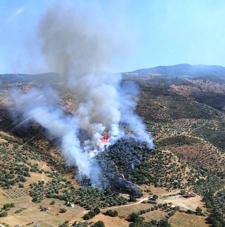 Yenipazar’daki Yangın Kontrol Altına Alındı