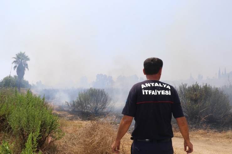 Antalya’da Ot Yangını Korkuttu