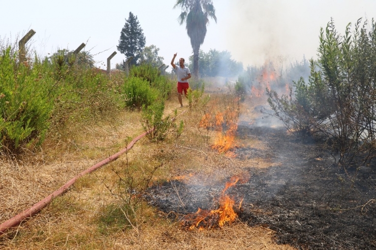 Antalya’da Ot Yangını Korkuttu