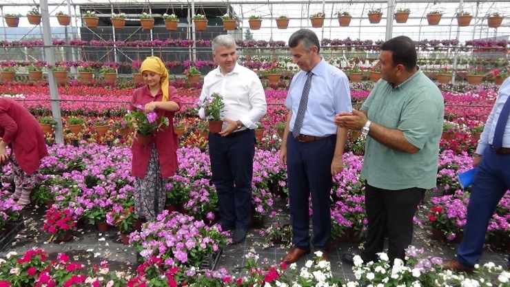 Kazdağları’nı Çiçek Açtıracak Projeyi İncelediler