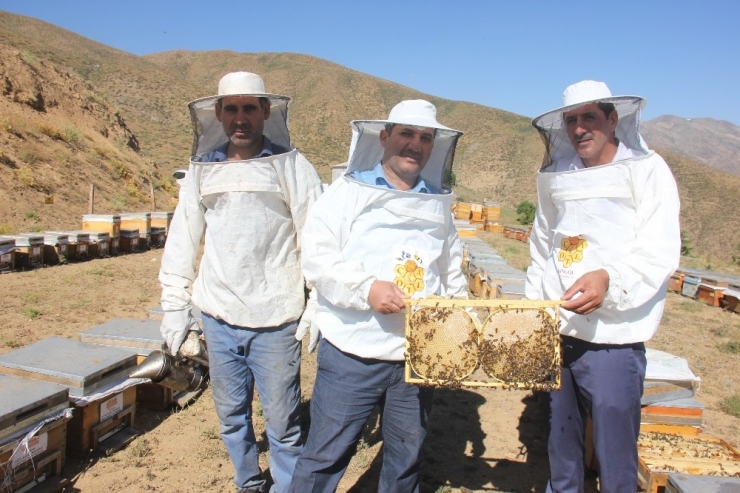 Bingöl’de En Tatlı Hasat