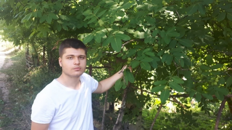 Ceviz’de Son 10 Yılın En Yüksek Verimi Bekleniyor