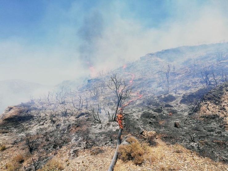 Datça’da 5 Dönüm Makilik Alan Yandı