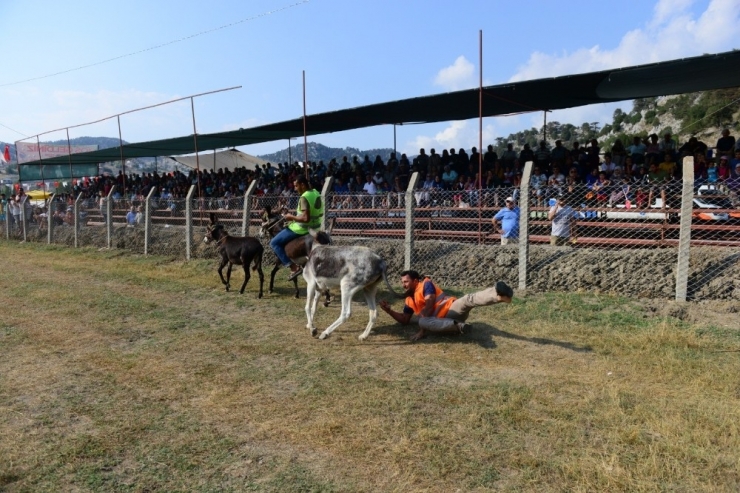 Antalya’da Eşekli Yörük Futbolu